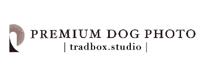 PREMIUM DOG PHOTO | tradbox.studio